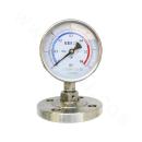 M20*1.5 Diaphragm Pressure Gauges