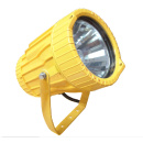 BTC8200/BTC8200A Explosion-proof Floodlight