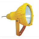 BTC8210 Explosion-proof Floodlight