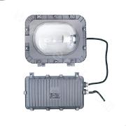 TGF753 Explosion-proof Floodlight